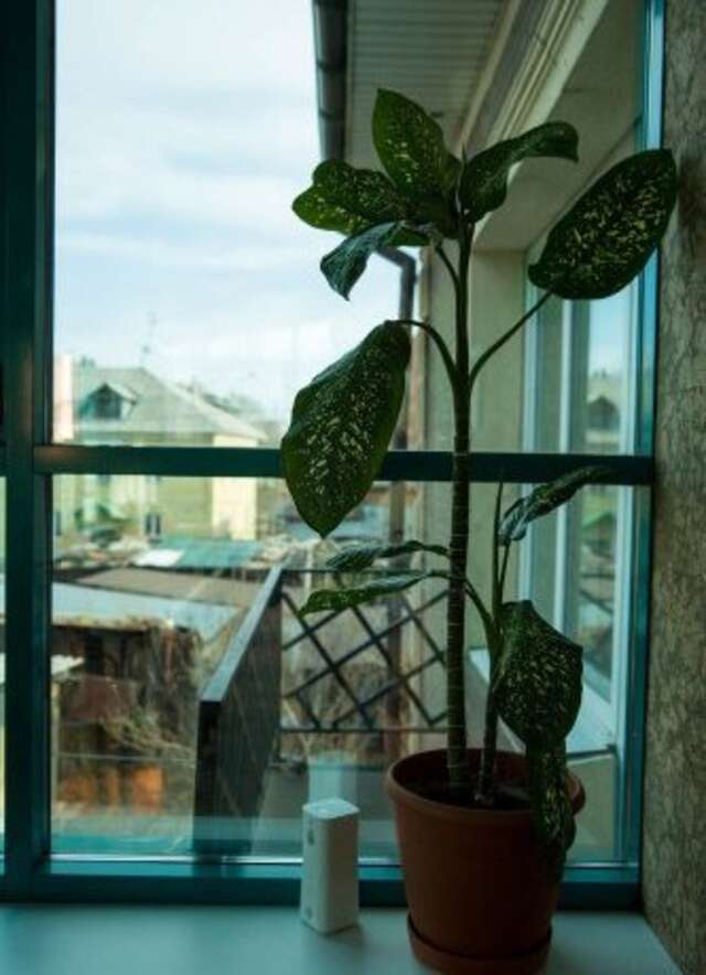 Гостиница City Hotel Байкальск-39